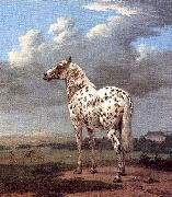 POTTER, Paulus The Piebald Horse Spain oil painting artist